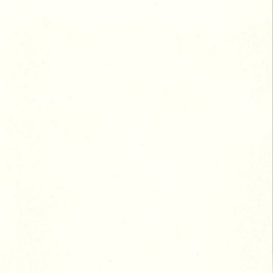 Kitchen Wall Tile- 901 – matt white