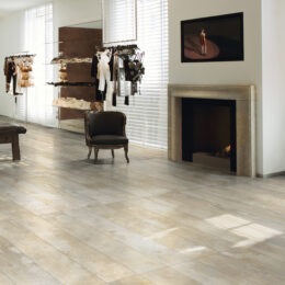 design_ind_raw_warm In Use